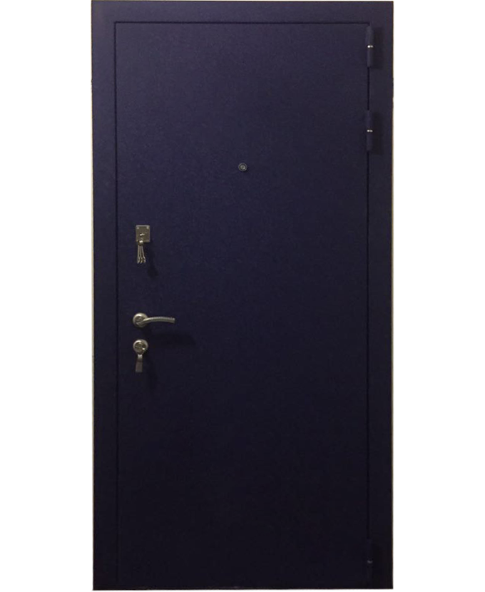 Дверь металлическая входная Порошок/эконом 1131