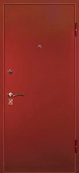 Дверь техническая металлическая входная Порошок 602