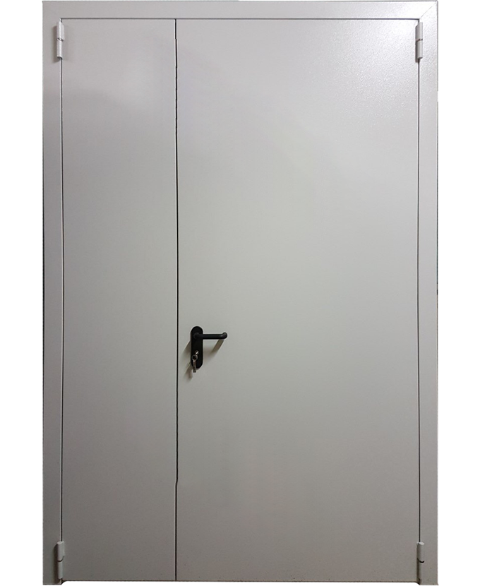 Дверь техническая стальная входная Порошок 645